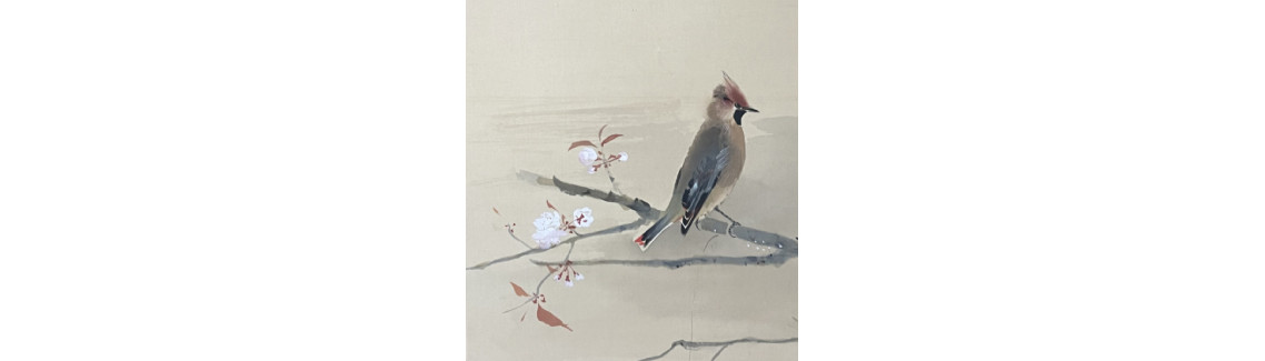 animals and flowers