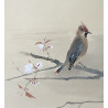 animals and flowers