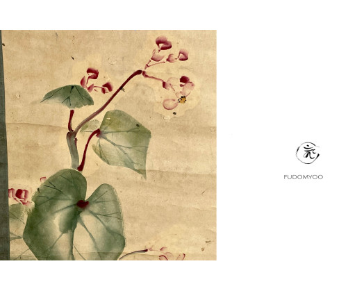 Kakemono Plant morning glory Japanese